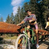 Biken